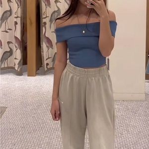 aritzia babaton sculpt knit off the shoulder ribbed top flagstone blue